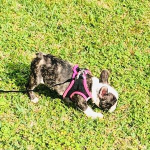 Meet your Posher, Stephany💙